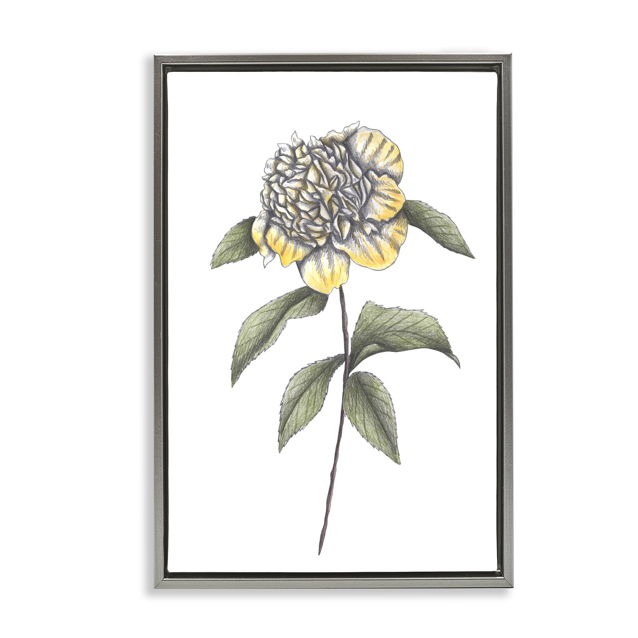 Stupell Industries Camellia Flower Illustration Floating Frame, design by Cecilia Battaini